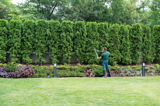 Best Sod Installation  in Seaman, OH