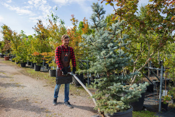 Best Tree Health Inspection  in Seaman, OH